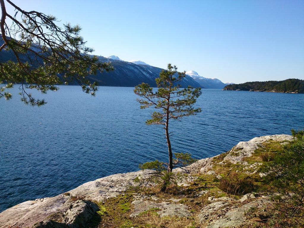 Ropeid Villa Fjordferie Exteriör bild